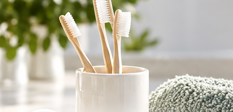 Illustrative still life of toothbrushes
